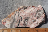 Australian Crazy Lace Slab 486