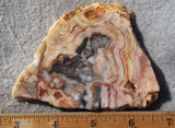 Australian Crazy Lace Slab 498