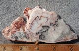 Australian Crazy Lace Slab 499