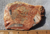 Australian Crazy Lace Slab 478