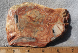 Australian Crazy Lace Slab 478