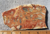 Australian Crazy Lace Slab 465