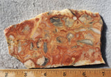 Australian Crazy Lace Slab 465