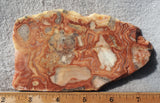 Australian Crazy Lace Slab 449