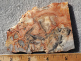 Australian Crazy Lace Slab 450