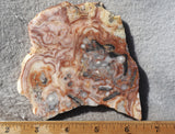Australian Crazy Lace Slab 451