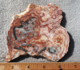 Australian Crazy Lace Slab 481