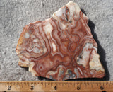 Australian Crazy Lace Slab 480