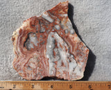 Australian Crazy Lace Slab 489