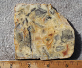 Australian Crazy Lace Slab 452