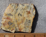 Australian Crazy Lace Slab 488
