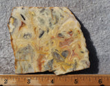 Australian Crazy Lace Slab 485