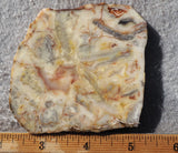 Bargain Bin E Slab 158