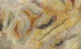 Bargain Bin F Slab 221