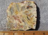 Bargain Bin F Slab 221