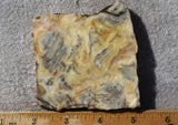 Australian Crazy Lace Slab 483