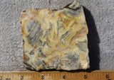 Australian Crazy Lace Slab 483