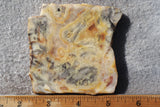 Australian Crazy Lace Slab 479