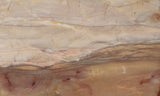 Brushfire Jasper Slab 384
