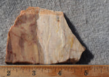 Brushfire Jasper Slab 384