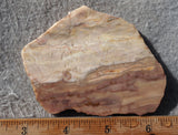 Brushfire Jasper Slab 386