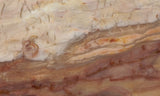 Brushfire Jasper Slab 386