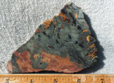 Brushfire Jasper Slab 349