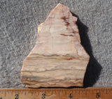 Brushfire Jasper Slab 347