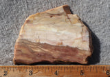 Brushfire Jasper Slab 397