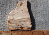 Brushfire Jasper Slab 396