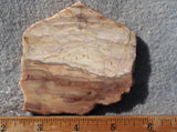 Bargain Bin E Slab 276