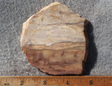 Brushfire Jasper Slab 389