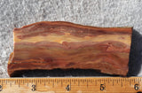 Brushfire Jasper Slab 377
