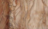 Brushfire Jasper Slab 398