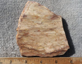 Brushfire Jasper Slab 374