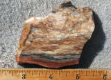 Brushfire Jasper Slab 370