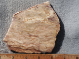 Brushfire Jasper Slab 376