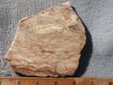 Brushfire Jasper Slab 376