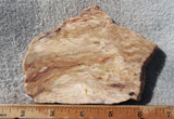 Brushfire Jasper Slab 340