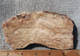 Brushfire Jasper Slab 381