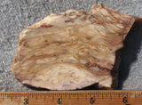Bargain Bin E Slab 155