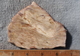Brushfire Jasper Slab 388