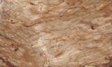 Brushfire Jasper Slab 371