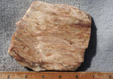 Brushfire Jasper Slab 371