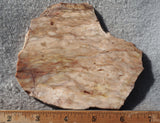 Brushfire Jasper Slab 382