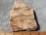 Brushfire Jasper Slab 379