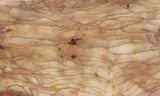 Brushfire Jasper Slab 379