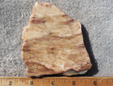Brushfire Jasper Slab 379