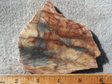 Brushfire Jasper Slab 341