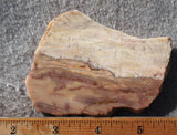 Brushfire Jasper Slab 394